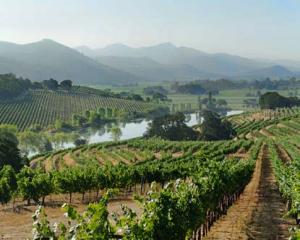 Napa Valley