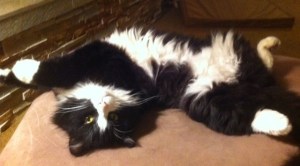 Don't bother me, I'm relaxing