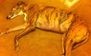 An invitation to trip