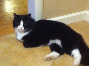 The face of indifference