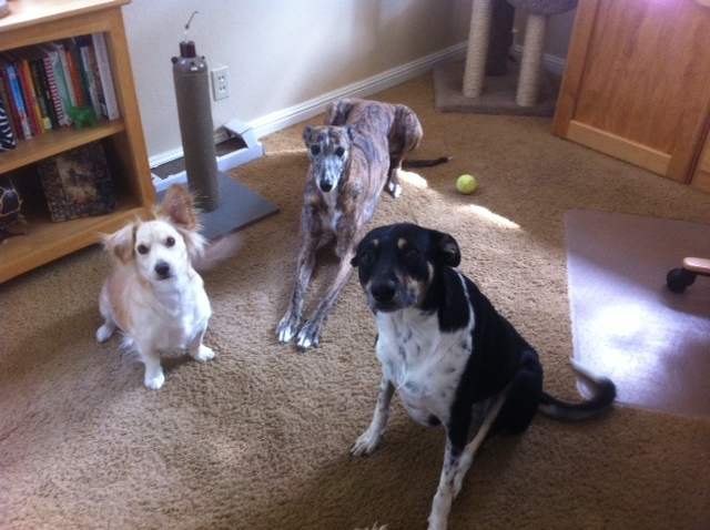 Oliver's faithful servants