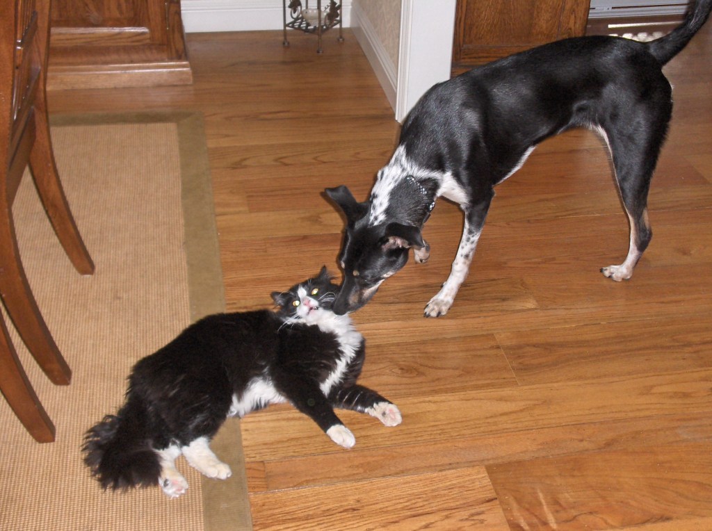 Epitome of indifference