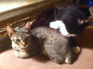 That's the spot...you got it