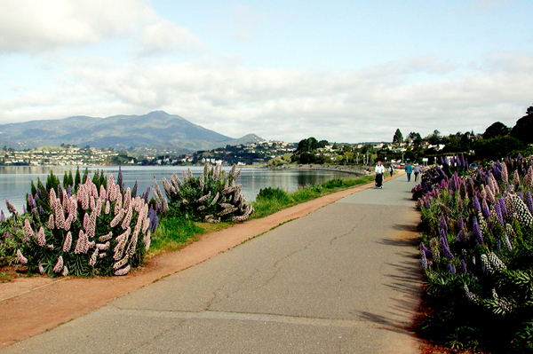 Tiburon bike path