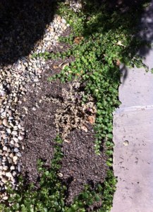 ...and ones they have