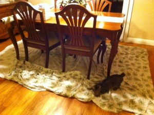 Savannah plays on the sheets on the dining room rug