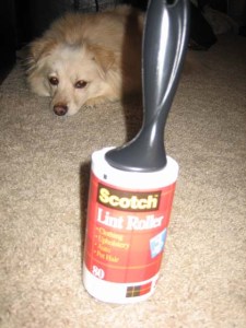 lint roller