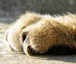 Let me tell you, those suckers hurt