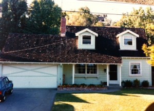 After removing the junipers