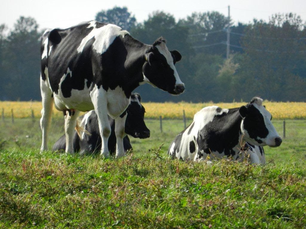 Even they can't believe it