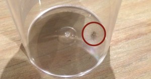 Ear-ie after awaiting her fate