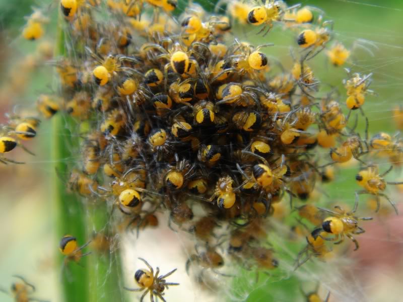 Almost ready to head toward's Katie's house