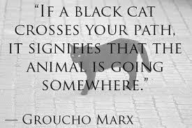blackcat quote