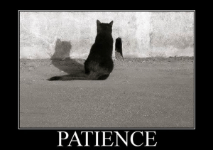 Sorry, but I have none