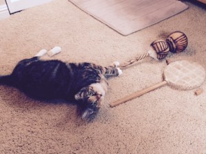 Caught red handed after knocking over my African drum and shaker thingy