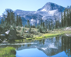 See? Perfectly fine...