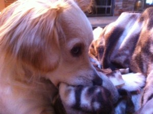 Skip and his ever-present blankie