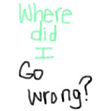 where did I go wrong