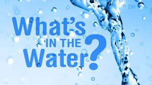 what's in the water