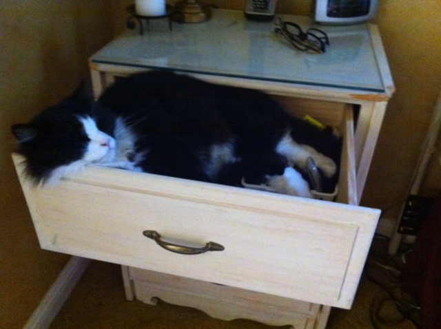 When the bed is just too big