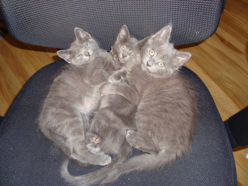 Took 7 hours to rescue from a sub-basement