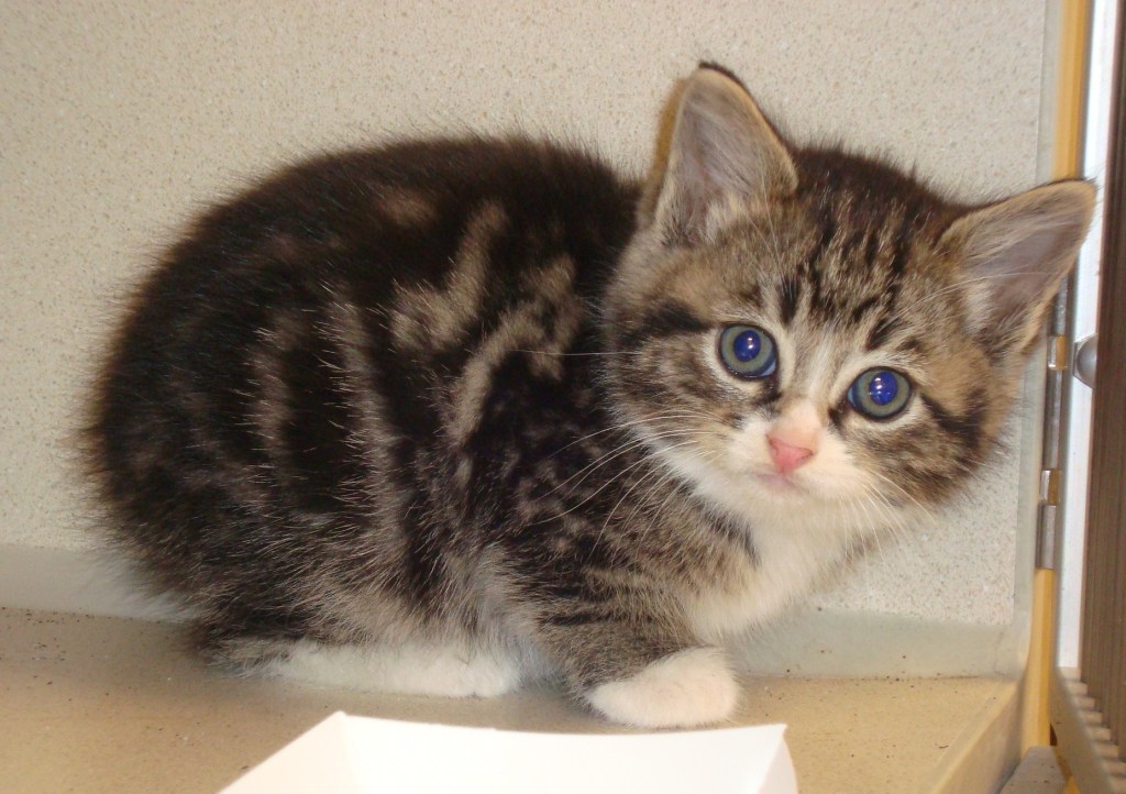 Found off a freeway rest stop