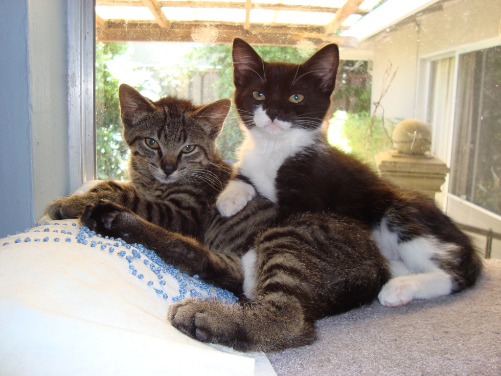 Living behind a restaurant