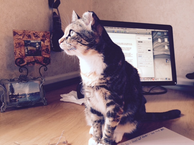 tippi blocking computer