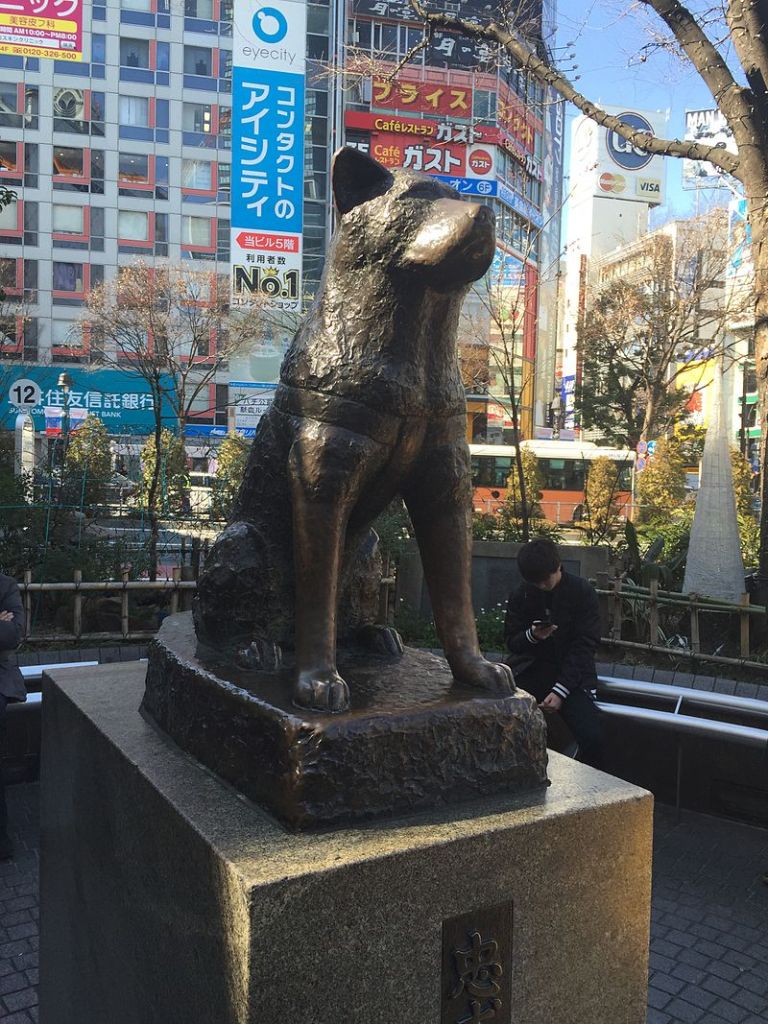 Hachiko_statue_shibuya.jpeg