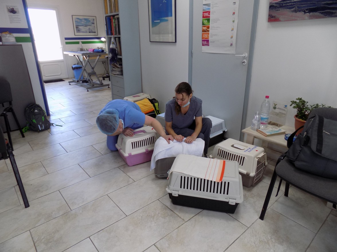 Greece Lisa and Karen