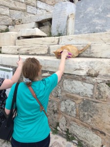 Greece Pat feeds cat