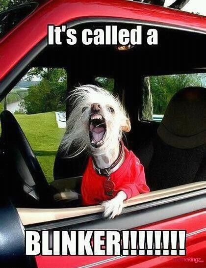 its-called-a-blinker