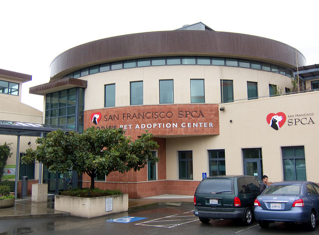 spca