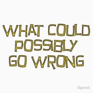 what could go wrong
