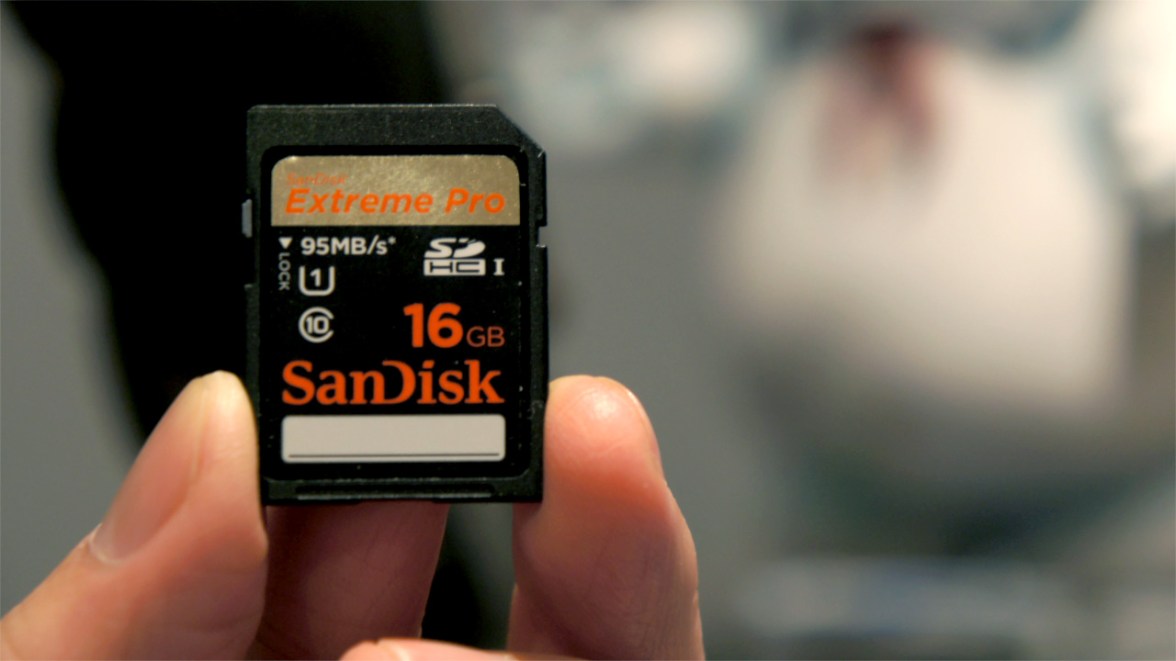 SD card