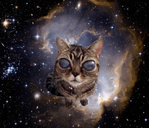 alien cat