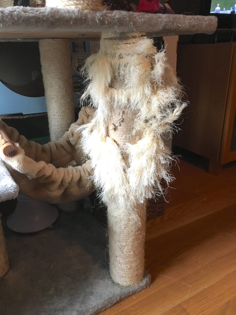 cat tree scratched up