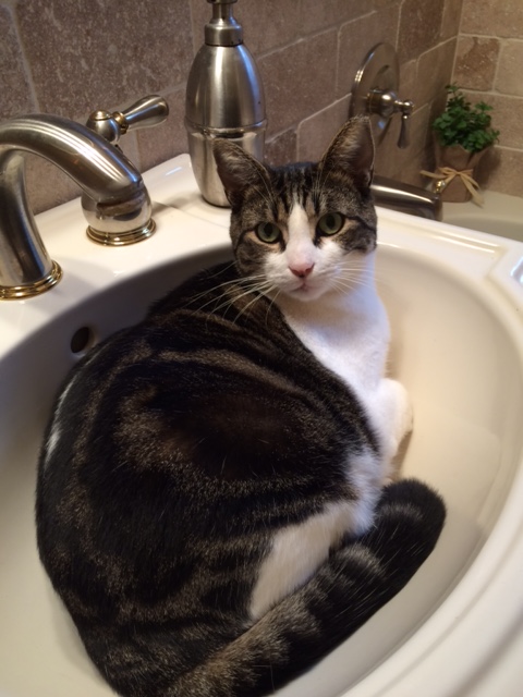 Jackie in sink2