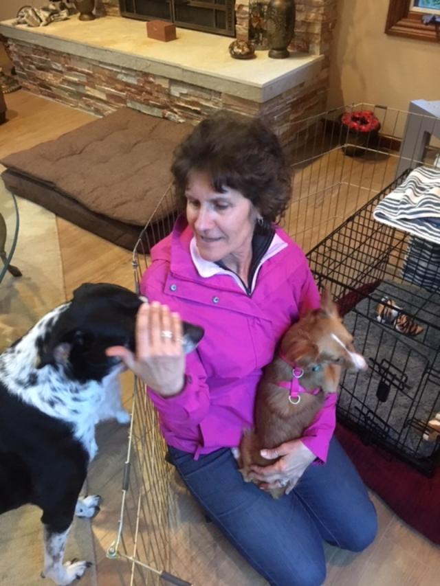 Taffy, me and Callie