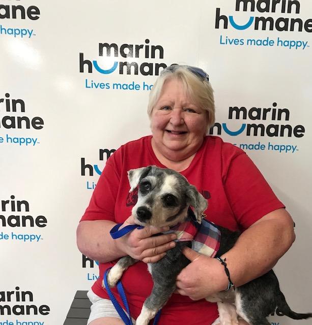 Gulliver with new guardian