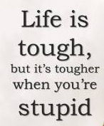 Stupid quote