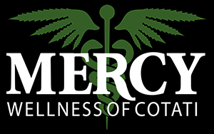 mercy wellness2